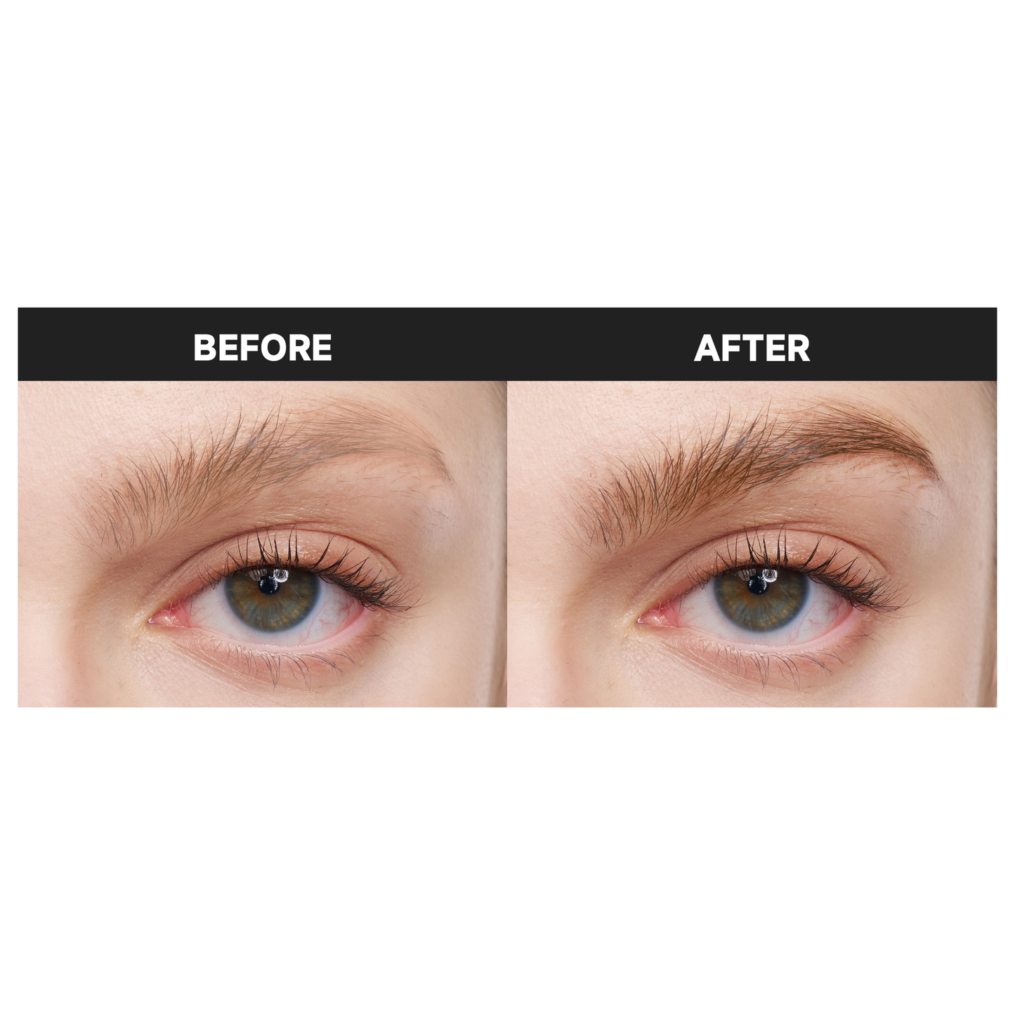 Angled Eyebrow Brush
