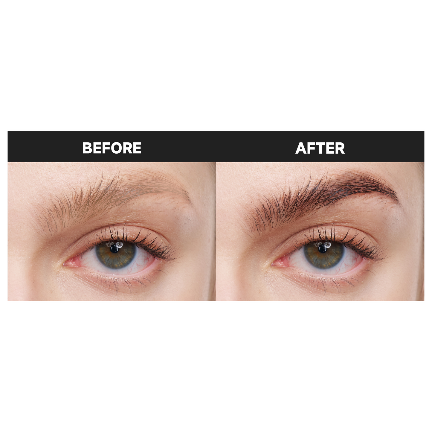 Angled Eyebrow Brush