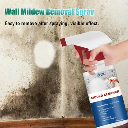 Labor Day Limited Time Discount ODEIUN ™ | MOULD CLEANER Revive Spray: Instant Mold Removal Solution
