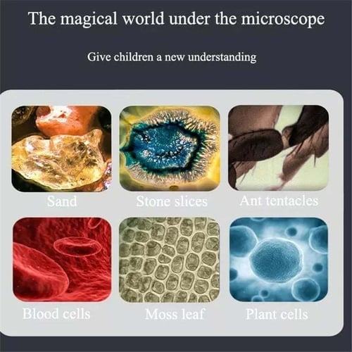 🎁2024 New Year Hot Sale🎁🔥 50% Off - Kid's Portable Pocket Microscope