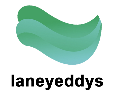 Laneyeddys Store